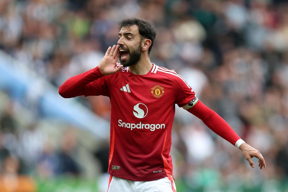 无疑为他们 无疑为他们